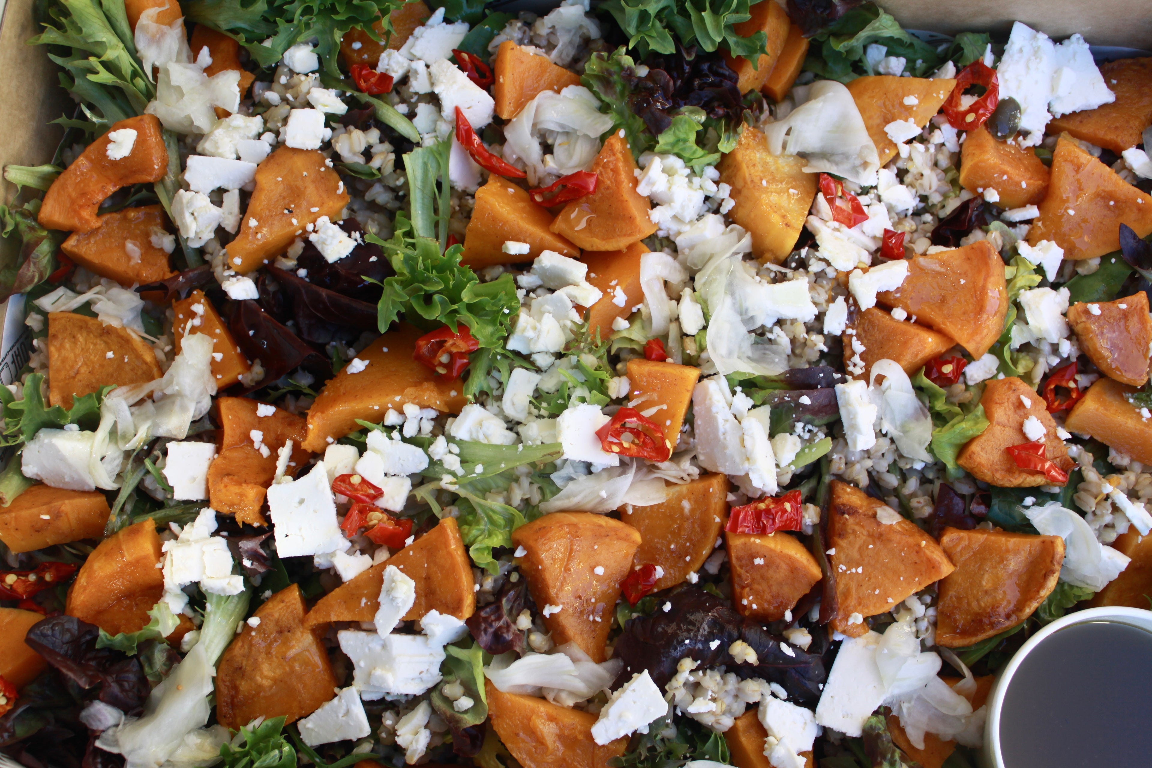 PUMPKIN ONE SALAD