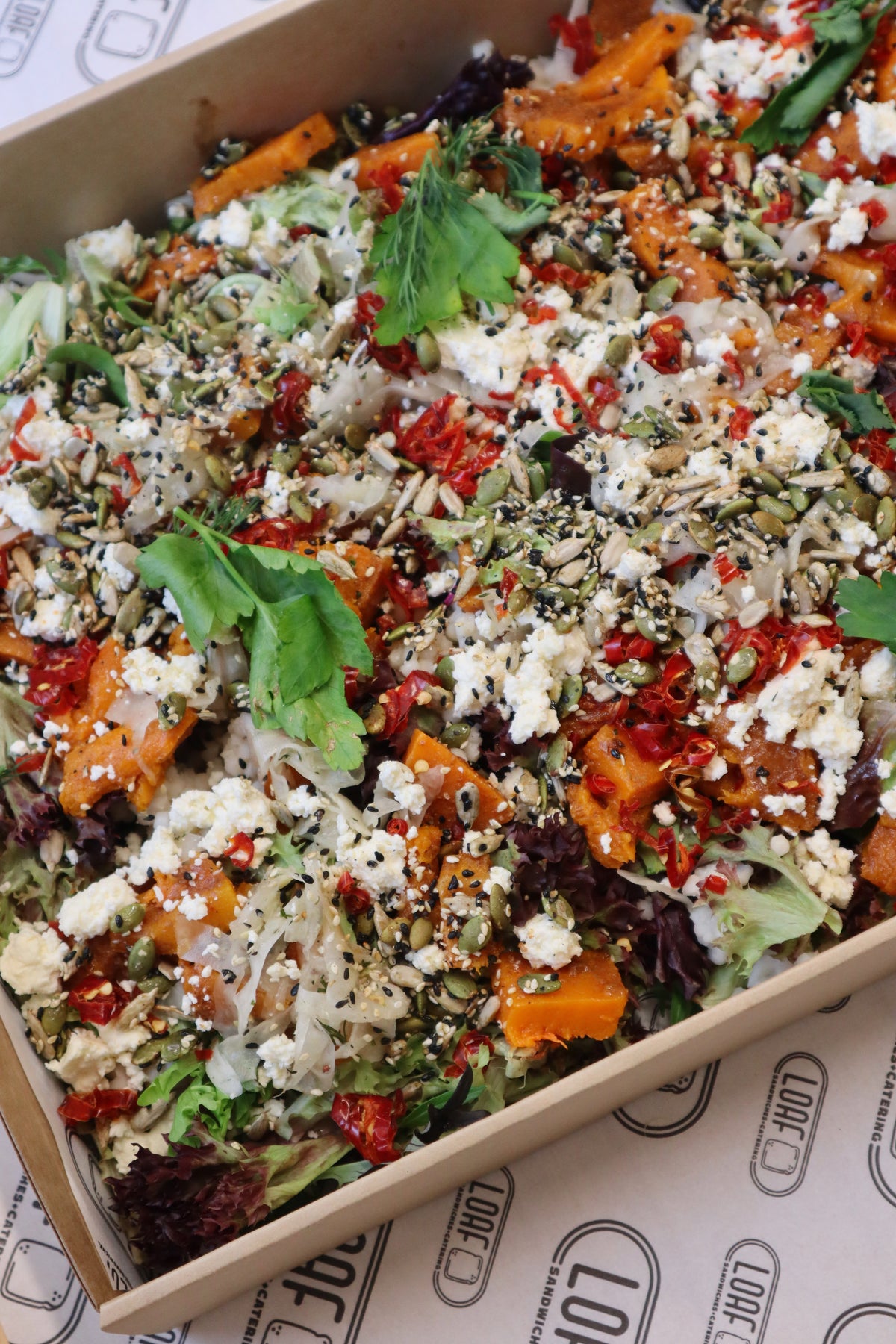 PUMPKIN ONE SALAD