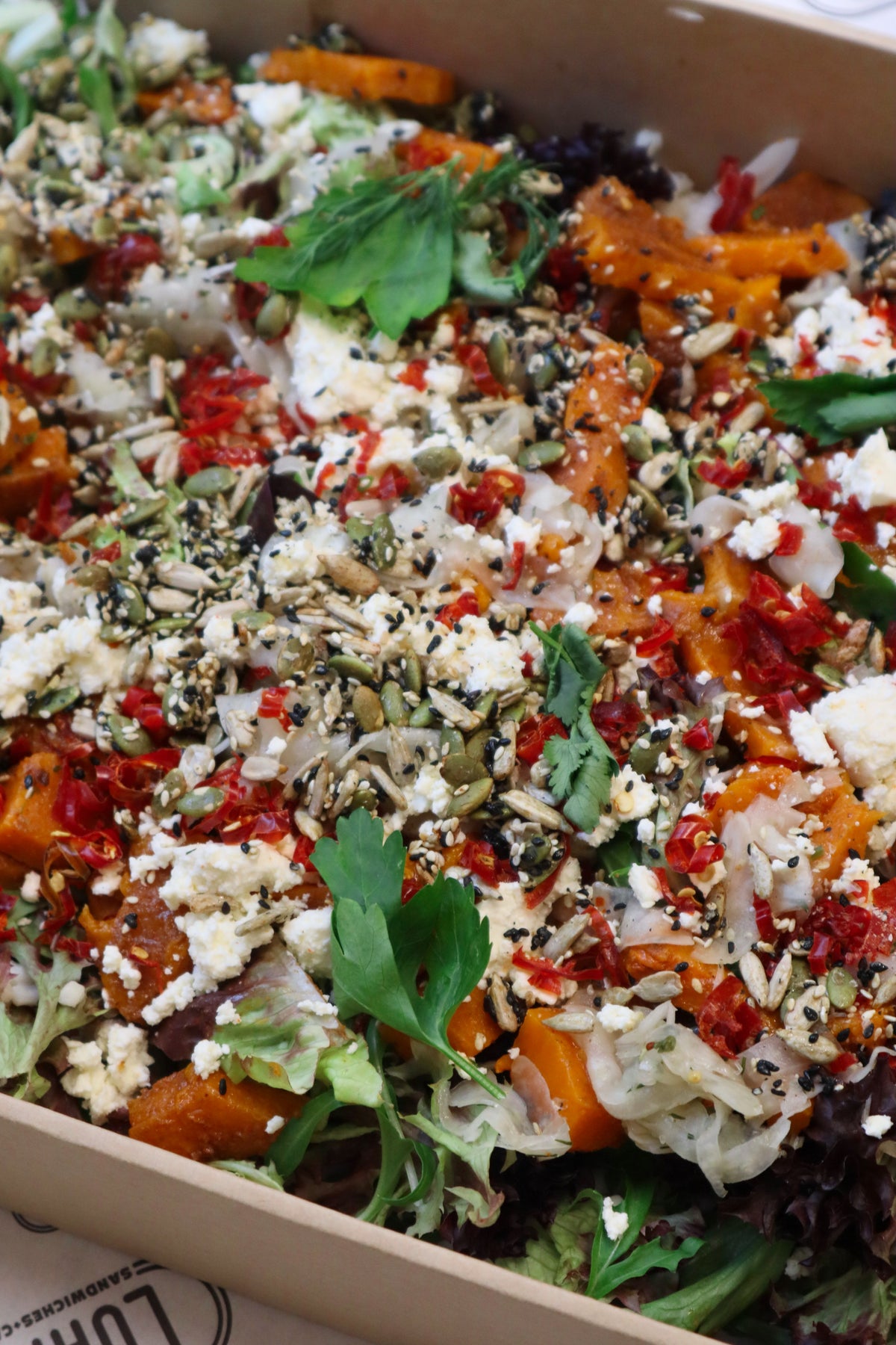 PUMPKIN ONE SALAD